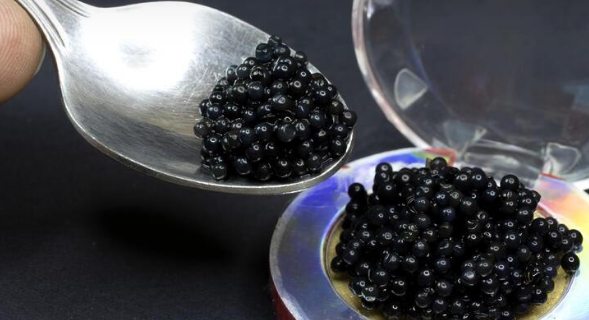 Kışın En Çok Ona İhtiyacımız Var galerisi resim 3