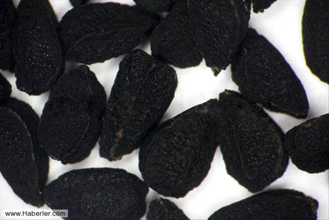 Öyle bir faydası var ki galerisi resim 2