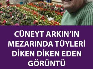 Cüneyt Arkın İle ilgili