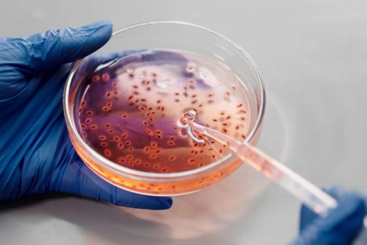 İnsan Vücudunun En Kirli Yeri galerisi resim 2