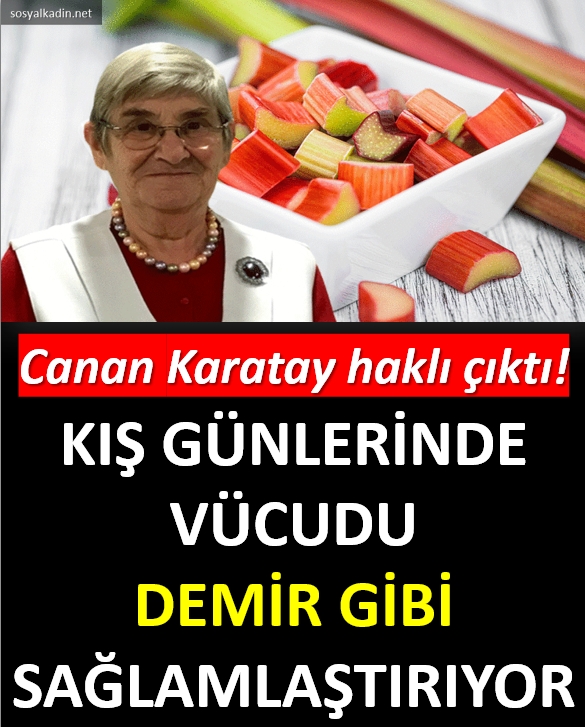 Vücudu Demir Gibi Yapıyor galerisi resim 1
