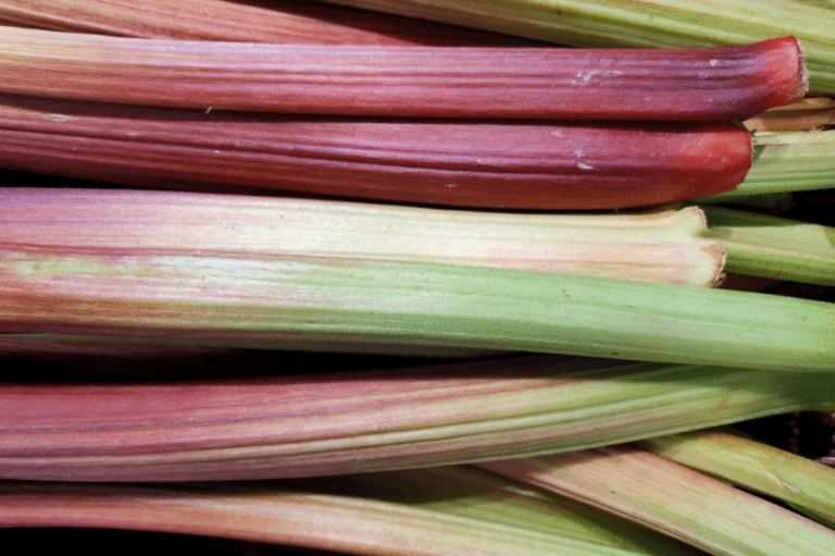 Vücudu Demir Gibi Yapıyor galerisi resim 2