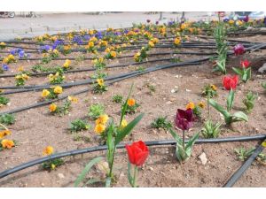 Gölbaşı İlçesi Rengarenk Oldu