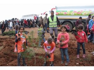 Büyükşehirin Doğa Aşkı