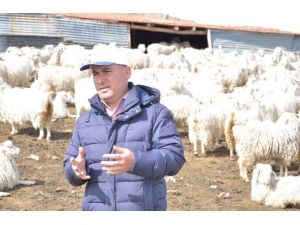 Damızlık Koyun Keçi Üreticileri Birliği Başkanı Hasan Kılıç: