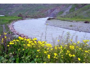 Doğaseverlerin Botan Aşkı