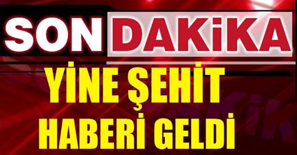 Mardin'den acı haber! 1 polis şehit