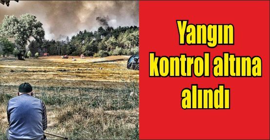 Yangın kontrol altına alındı