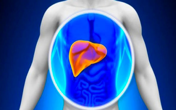 Karaciğer Yağlanması Kürü