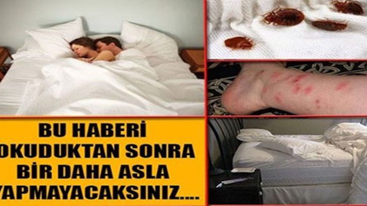 Dünya Bu Haberle Çalkalanıyor.. Bir Daha Asla Böyle Bir Şey Yapmayacaksınız!