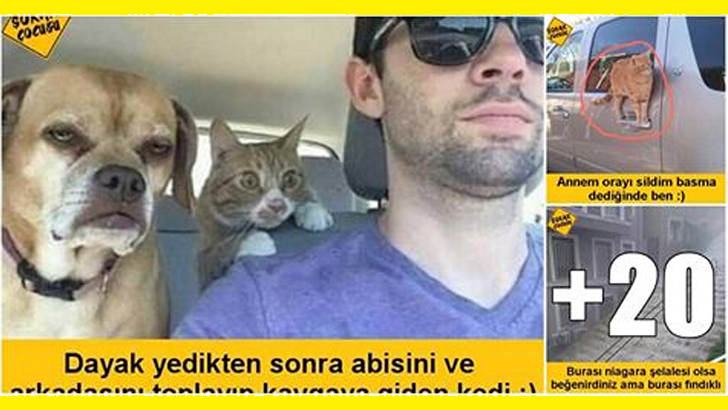 Var mısın biraz gülmeye :)