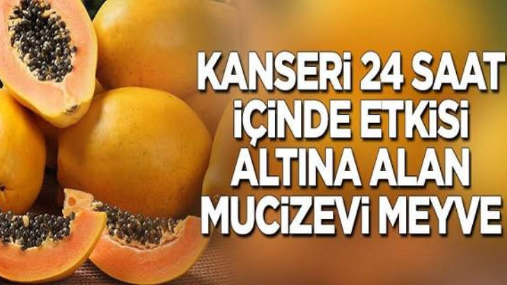 Kanseri etkisi altına alan mucizevi meyve