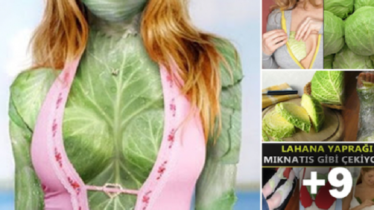 Bu Haberi Okuduktan Sonra Her Yerinize Lahana Saracaksınız!