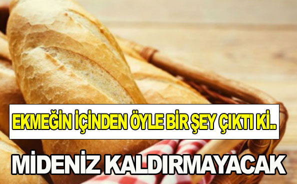 Ekmeğin İçinden Midenizin Kaldıramayacağı İğrenç Bir Şey ÇIKTI!