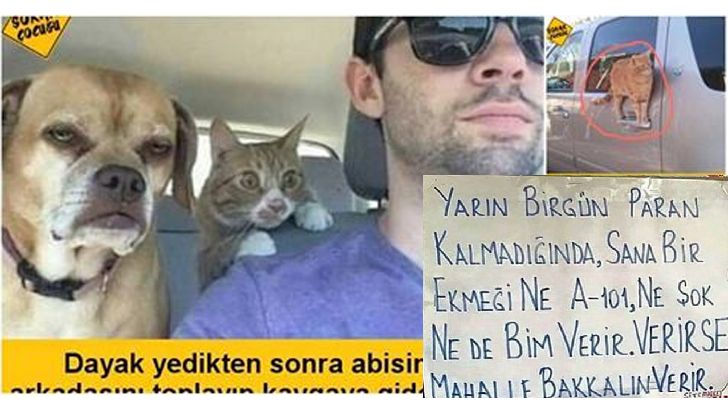 Var mısın biraz gülmeye :)