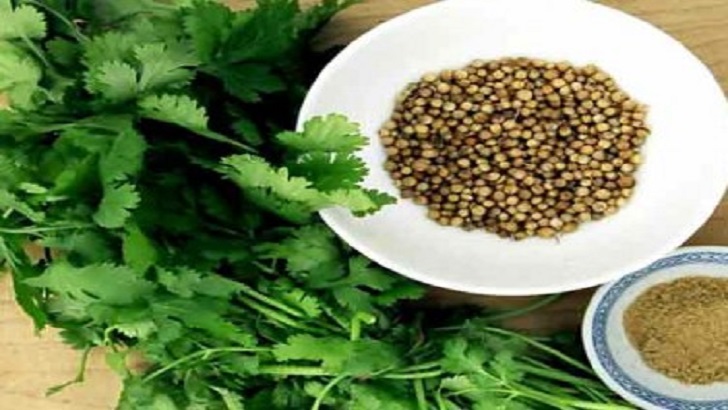 KANSER TÜRÜNE KARŞI VÜCUDU KORUYOR