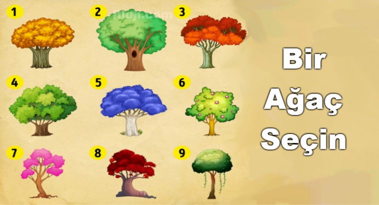 Sadece Bir Ağaç Seçin Ve Anlamını Okuyun! Bu Testle 2018’de Sizi Nelerin Beklediğini Öğreneceksiniz