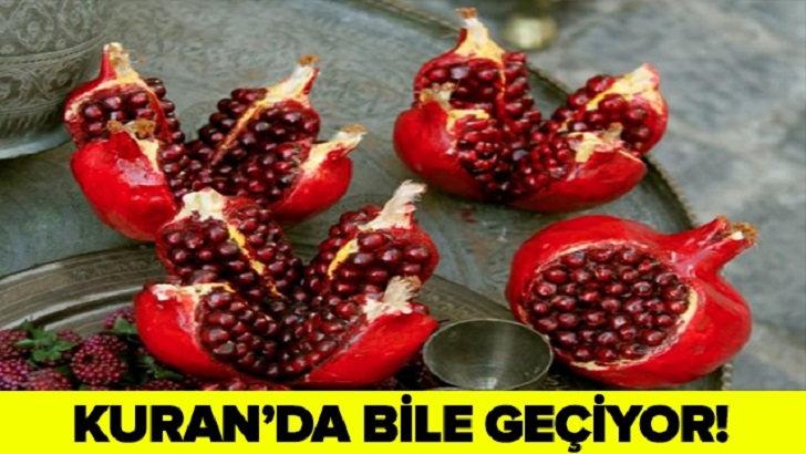 KURAN'DA BİLE GEÇEN NARIN MUCİZELERİ SAYMAKLA BİTMİYOR