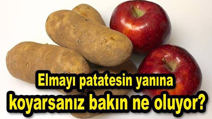 PATATESİN YANINA ELMA KOYDUĞUNUZDA BAKIN NE OLUYOR?