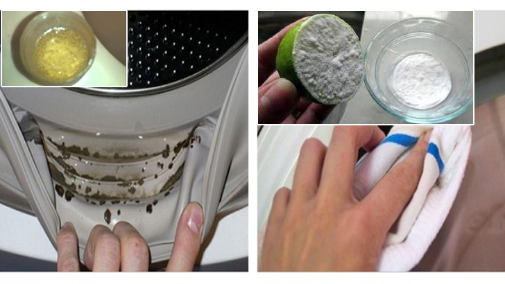 ZEHİRLİ KÜFÜN ÇAMAŞIR MAKİNASINDA SAKLADIĞINI KİMSE BİLMİYOR! İŞTE KANSEROJEN ZEHİRLİ KÜF TEMİZLEME YÖNTEMİ