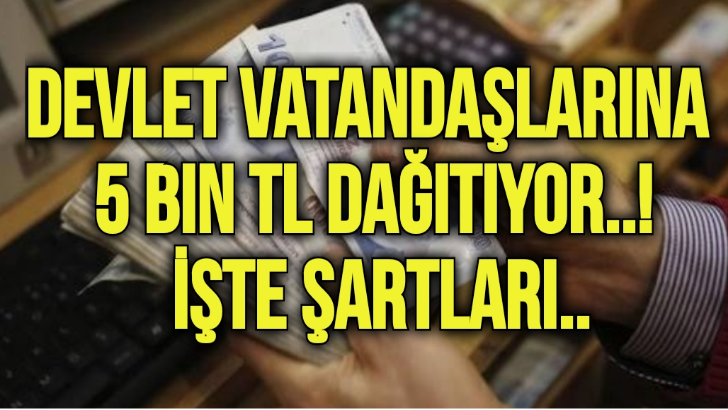 DEVLET VATANDAŞLARINA 5 BİN TL DAĞITIYOR İŞTE ŞARTLARI