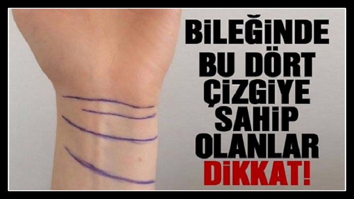 BİLEĞİNİZDEKİ BU ÇİZGİLER BAKIN NE MANAYA GELİYOR