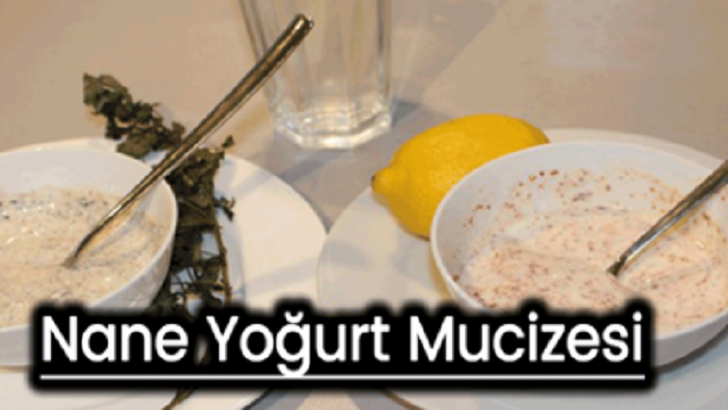 NANE YOĞURT MUCİZESİ