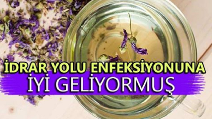 İDRAR YOLU ENFEKSİYONUNA BİREBİR