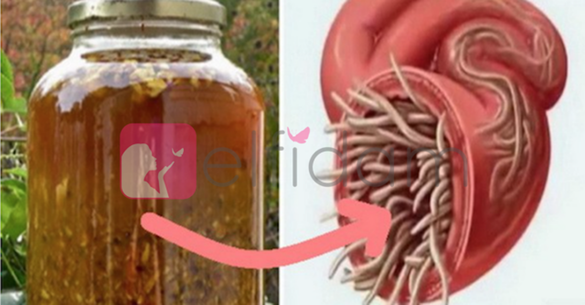 VÜCUTTAKİ ENFEKSİYONLARI İYİLEŞTİRİYOR, PARAZİTLERİ ÖLDÜREN EV YAPIMI ANTİBİYOTİK