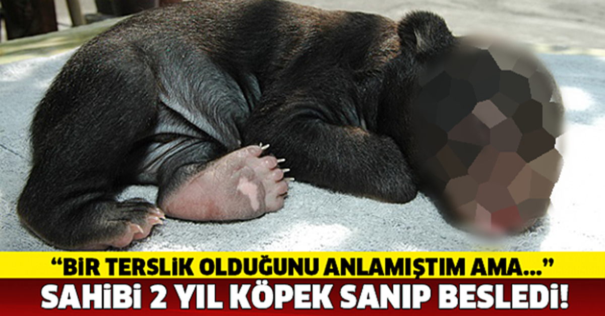 İKİ YIL KÖPEK SANARAK BESLEDİ! SONUNDA KORKUNÇ BAKIN ASLINDA NEYMİŞ