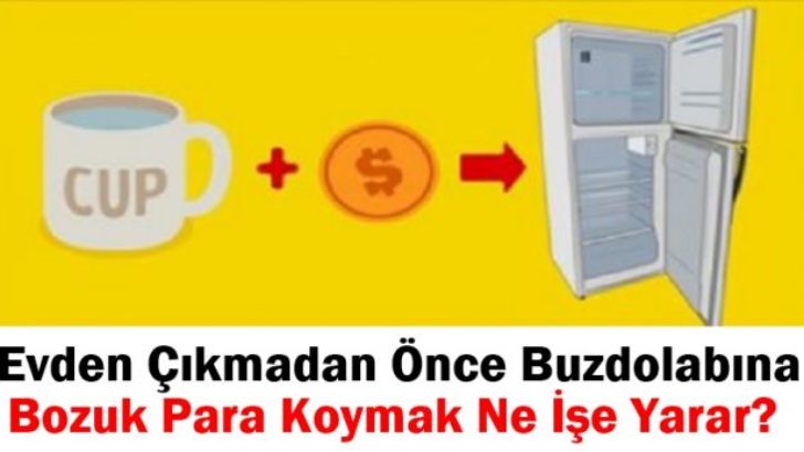 UZUN SÜRE EVDE OLAMAYACAKSANIZ BUZDOLABINDA BOZUK PARA BIRAKIN