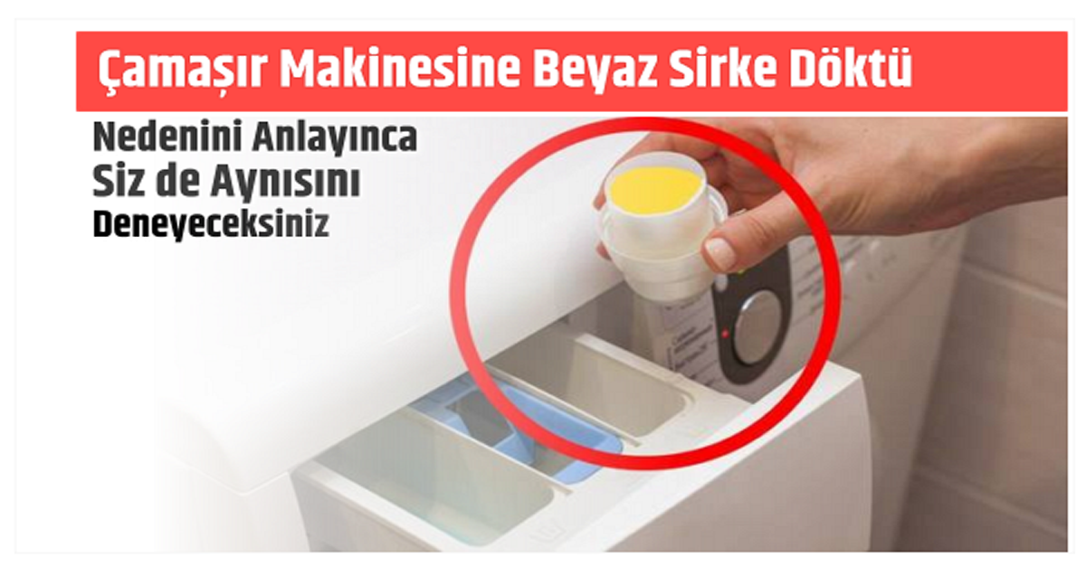 NEDENİNİ ANLAYINCA SİZDE AYNISINI YAPICAKSINIZ