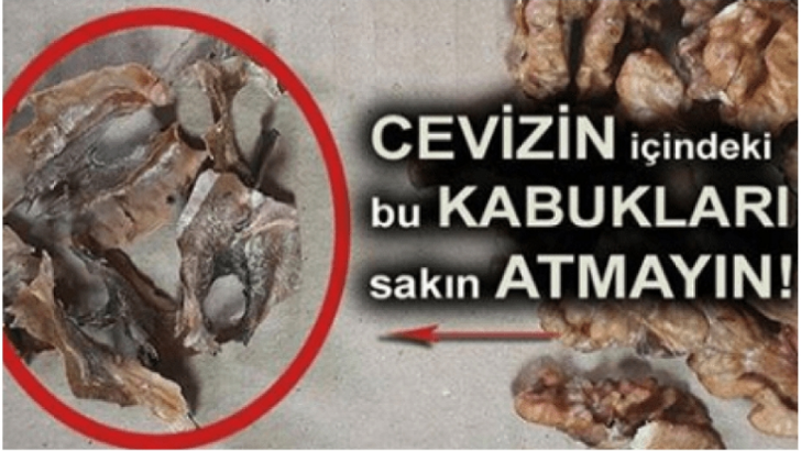 CEVİZİN İÇİNDEN ÇIKAN KABUKLARIN İNANILMAZ FAYDALARI…