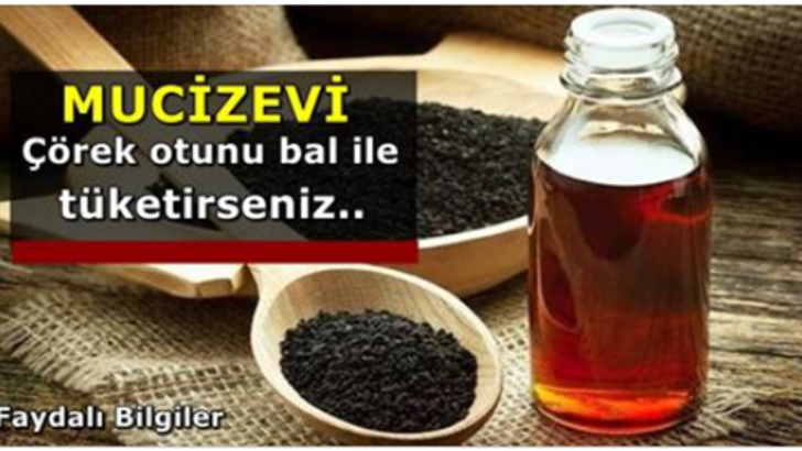 MUCİZEVİ ÇÖREK OTUNU BAL İLE BİRLİKTE TÜKETİRSENİZ