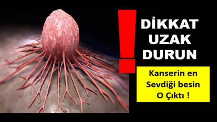 EVİNİZE SOKMAYIN BU YİYECEKLER ÇAĞIN EN KÖTÜ HASTALIKLARINA DAVETİYE ÇIKARTIYOR