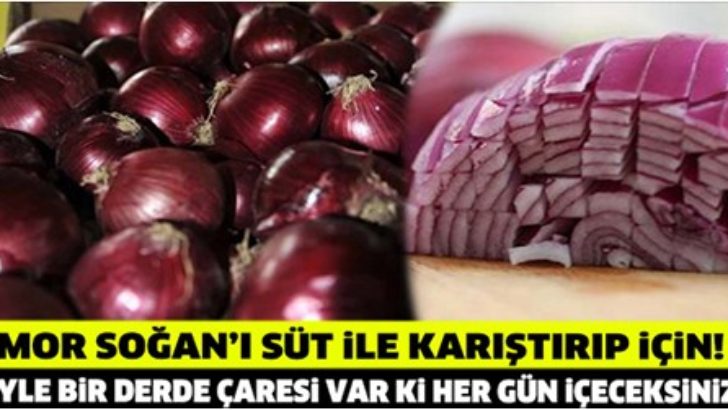 ÖYLE BİR FAYDASI VAR Kİ MOR SOĞANI SÜTLE KARIŞTIRIP İÇİN