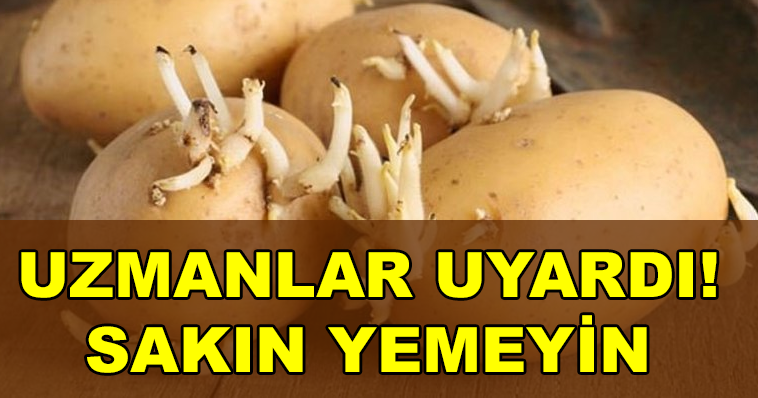 UZMANLAR UYARDI. FİLİZLENMİŞ PATATES YEMEYİN