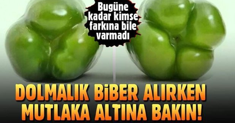 DOLMALIK BİBER ALIRKEN MUTLAKA ALTINA BAKIN! ŞOK OLACAKSINIZ