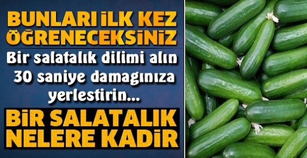 Salatalığın Müthiş Faydaları, Mutlaka Okuyun Bu Bilgileri İlk Kez Öğreneceksiniz