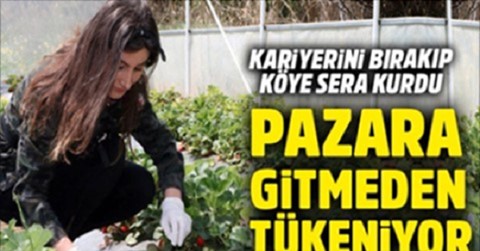 Kariyerini Bırakıp Köye Sera Kurdu ! Pazara Gitmeden Bitiyor…
