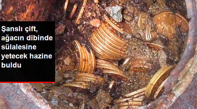 Köpek gezdirirken ağacın dibinde 7 sülalesine yetecek define buldular