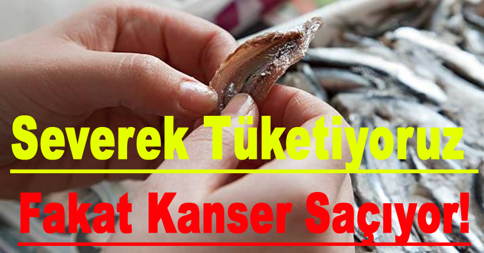 SEVEREK TÜKETİYORUZ FAKAT KANSER SAÇIYOR!