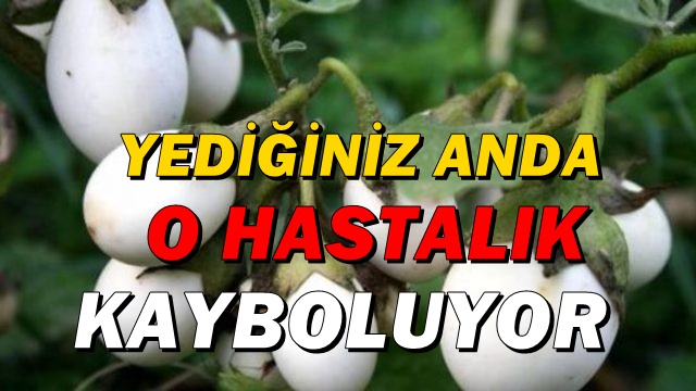 YEDİĞİNİZ ANDA O HASTALIK KAYBOLUYOR