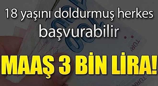 HÜKÜMETTEN VATANDAŞLARA BÜYÜK MÜJDE. 3 BİN LİRA MAAŞ VERECEKLER..