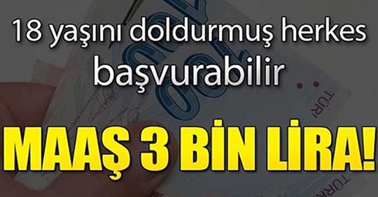 Hükümetten Vatandaşlara Çok Büyük Müjde. 3 Bin Lira Maaş Verecekler