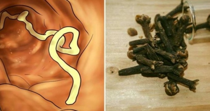 Vücudunuzda parazit olduğunu gösteren 10 belirti ve onları yok edecek 7 gıda