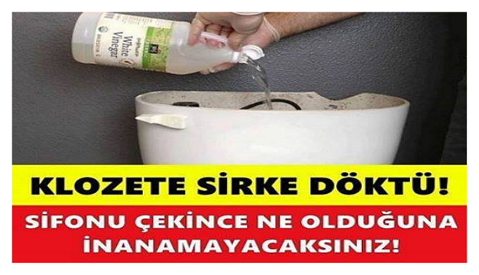 Klozete Sirke Döktü. 2. dk sonra Sifonu Çekince Ne Olduğuna İnanamayacaksınız!