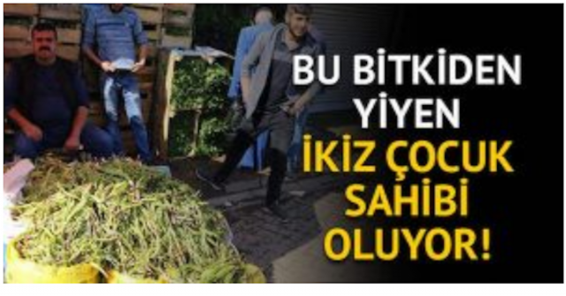 Bitki’den yiyen ikiz çocuk sahibi oluyor