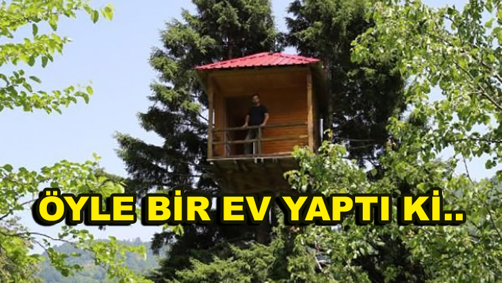 Ağacın Tepesine Öyle bir yere ev yaptı ki! –