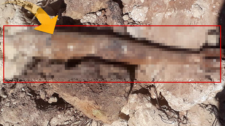 Antalya'da bulundu! Polis hemen güvenlik önlemi aldı